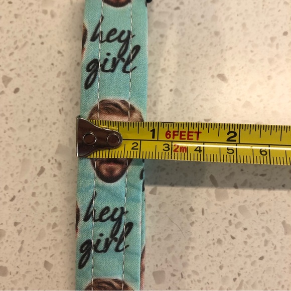 Dog collar: Ryan Gosling ‘Hey Girl’ novelty dog collar - fits 10”- 16” neck - Picture 9 of 14